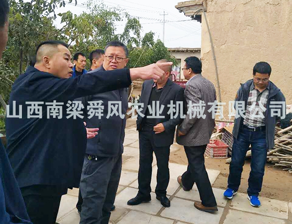 d領(lǐng)導視察